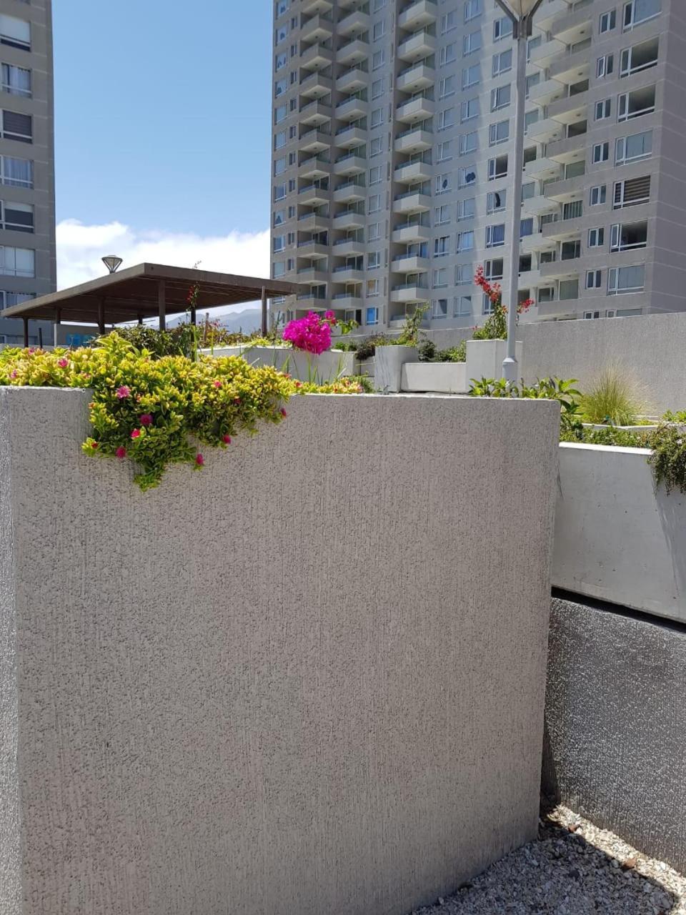Hermoso Departamento Con Vista Al Mar Antofagasta Exterior photo